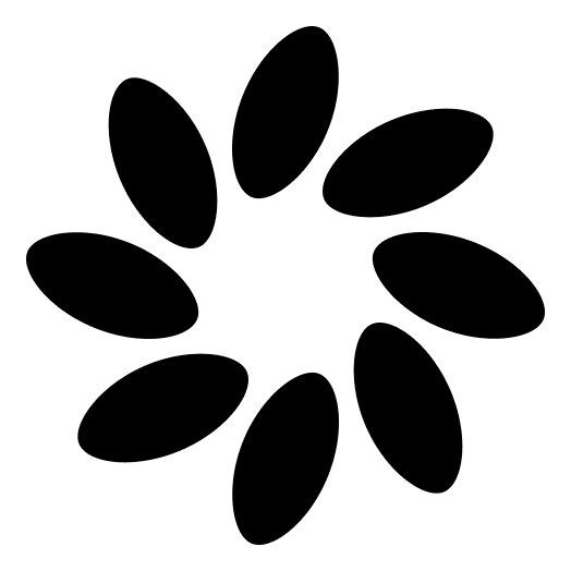 paillette